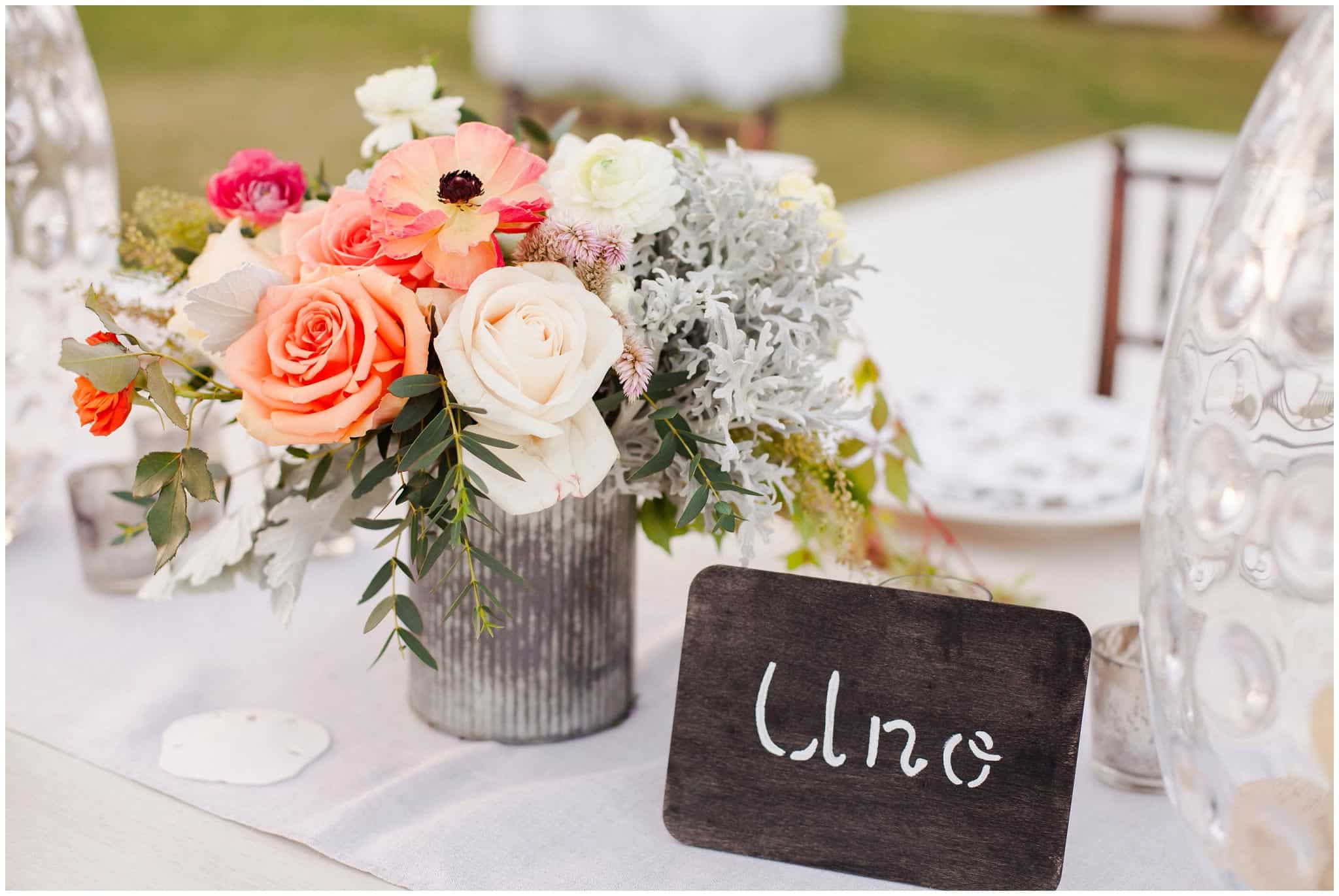 Cabo-Photographers---Sara-Richardson--6971